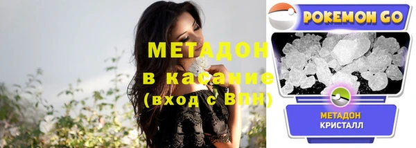 индика Аркадак