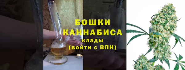 индика Аркадак