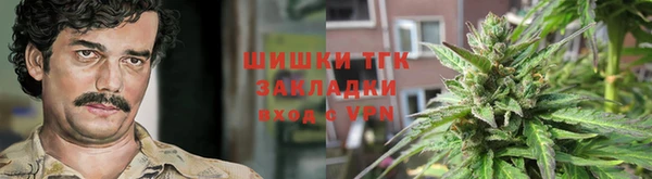 индика Аркадак