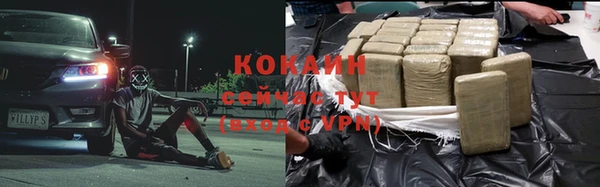индика Аркадак