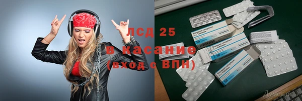 индика Аркадак
