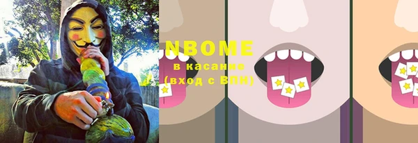 индика Аркадак