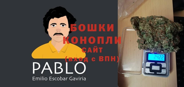 индика Аркадак
