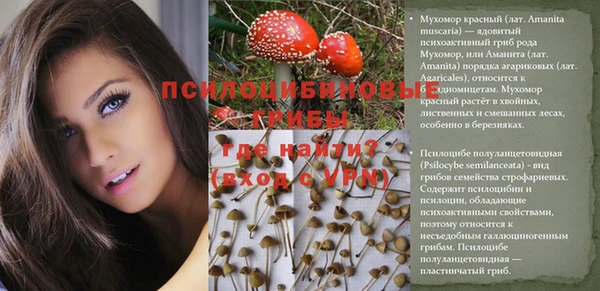 мескалин Армянск