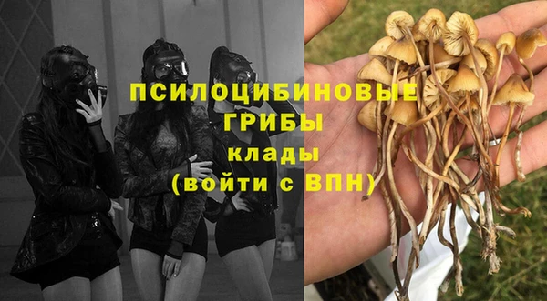 индика Аркадак