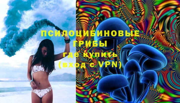 стафф Арсеньев