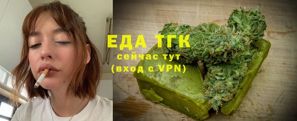 индика Аркадак